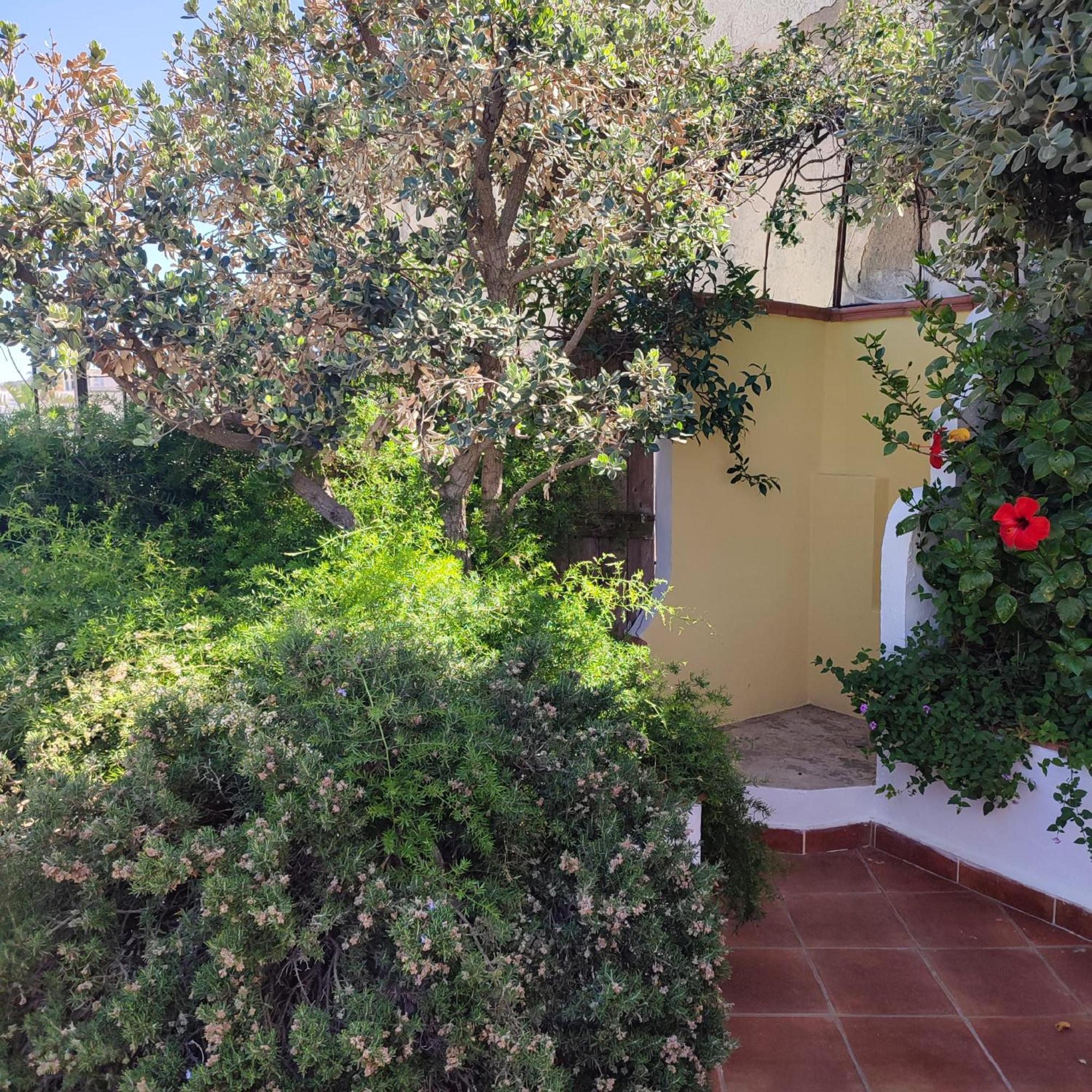 Forio di Ischia Hotel Villa Verde מראה חיצוני תמונה