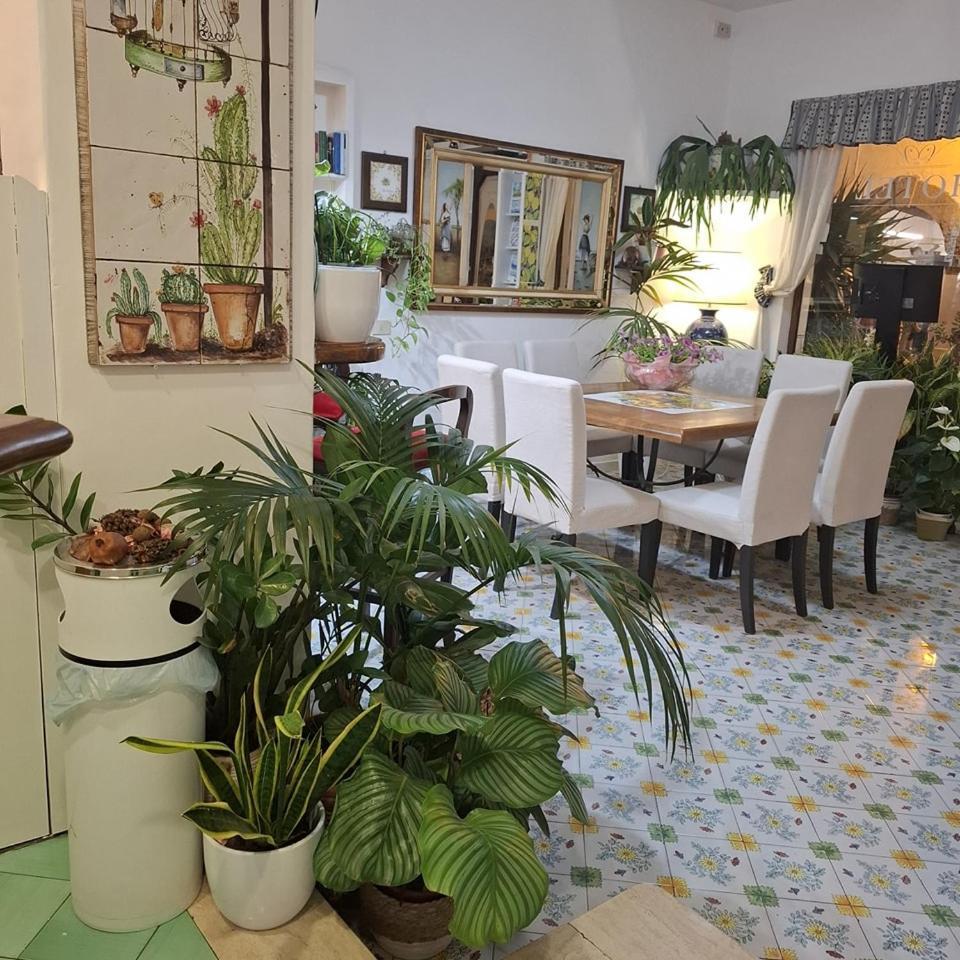 Forio di Ischia Hotel Villa Verde מראה חיצוני תמונה