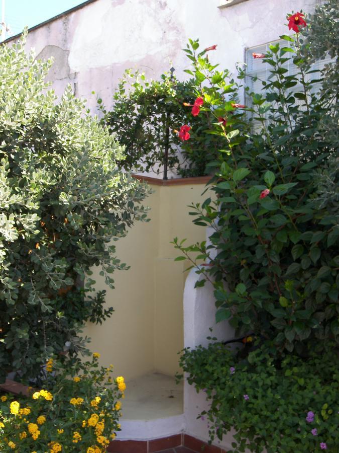 Forio di Ischia Hotel Villa Verde מראה חיצוני תמונה